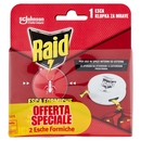 Raid Esca Formiche Insetticida Bipacco, Pronta all'Uso in Spazi Interni ed Esterni, 1 pezzo